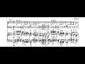 Beethoven-Liszt - Symphony 5 (I. Allegro con brio) - Cyprien Katsaris Piano
