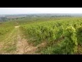 Download Lagu Discover The Red Wines of Burgundy