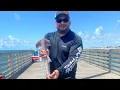 Fishing Port A Horace Caldwell pier hammerhead stingray huge gaftop daddy daughter time Tx fishing
