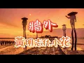 黃明志Namewee -《牆外》ft.小花 動態歌詞Lyrics 「我站在牆外等妳，期盼著你的回應，我聽見你的心跳還有你的呼吸」