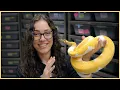 Top 10 BEST AGING Ball Python Combos 162