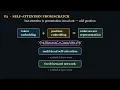 How Do Neural Networks Process Text Transformers Deep Learning with Python 2nd Ed Ch 11