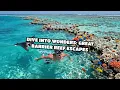 Dive Into Wonders Great Barrier Reef Escapes