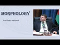 Morphology 13 Compounding