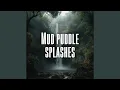 Mud puddle splashes