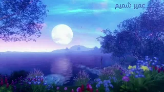 Umair Shamim ابداع القارئ عمير شميم ما تيسرمن سورة النساء 