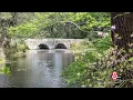 Exploring Newburyport s creative side from art to nature