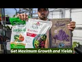 Fertilizer for vegetable garden Works 100 For Beginners
