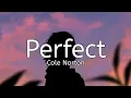 Download Lagu Cole Norton - Perfect (Lyrics)