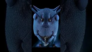 اسمع صوت النمل عن طريق مكبر الصوت وشكلها Viral Foryou Video Shorts 