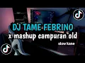 Download Lagu DJ TAME FEBRINO X MASHUP CAMPURAN OLD | VIRAL TIKTOK 2024