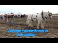 Download Lagu Eeuwige Paardenkracht in Sint-Juliaan 2025 Trekpaarden en Machines