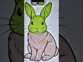 How to colour a rabbit