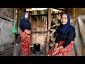 Download Lagu MIRIS‼️ JANDA DESA HANYA BISA PASRAH, MAKAN SAJA SULIT APALAGI UNTUK BEROBAT