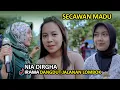 Download Lagu SI MANIS IKUT MENIKMATI SUARA MERDU NIA DIRGHA LAGU SECAWAN MADU COVER DANGDUT JALANAN IRAMA DOPANG