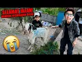 Lagu KAMBING QURBAN BOCIL NGAMUK PAS DISEMBELIH!!! SEMUA TAKUT, SAMPAI RUMAH DIA GABERHENTI NANGIS!!!