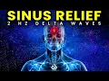 Download Lagu Sinus Relief Music: 2 Hz Binaural Beats to Relieve Congestion \u0026 Headache Pain MP3