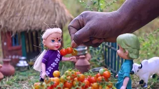 Miniature Tomato Thota | Tiny Cooking | Mini Food Cooking