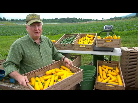 Maryland Farm & Harvest: Season 6 Trailer