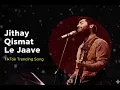 Lagu Jithay Qismat Le Jaave - Heart Touching - TikTok Trending Song