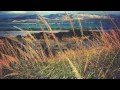 iamforest   Structures