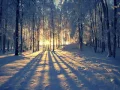 Download Lagu Vivaldi -- Winter(DimonD FD vs. DVL remix)