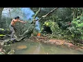 Download Lagu Aku Bertahan hidup sendirian selama 100 hari di hutan karst terbesar ke 2 di Dunia