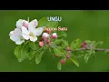 Download Lagu UNGU - Dirimu Satu