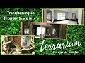 Process of Transforming an Interior Space into a TERRARIUM