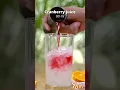Vodka Cranberry Cocktail