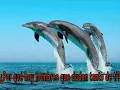 Él vive David y Abraham