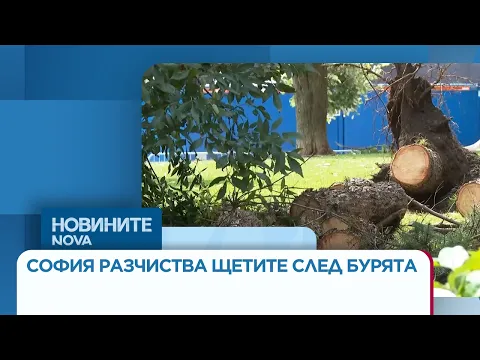 Бурята в София: Десетки сигнали за щети, наводнени улици и поражения по зелената система на столицата