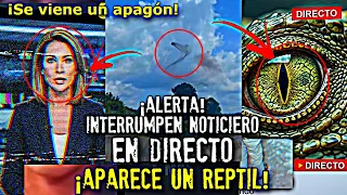 ¡Alerta! Interrumpen noticiero en directo ¡Aparece un reptil!