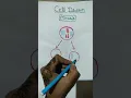structure of mitosis cell division