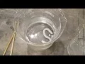 Crafti-Plastic Thermoplastic Beads Craftiviti