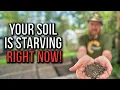 Lagu These 5 Winter Tasks Transform Your Soil by Spring