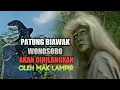 Download Lagu Patung biawak wonosobo akan dihilangkan oleh mak lampir |komedi mak lampir