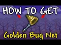 How to Get Golden Bug Net in Terraria Golden Bug Net terraria