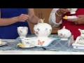 Lenox Butterfly Meadow Porcelain 9-pc Tea Set on QVC