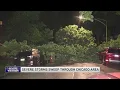 More severe storms in Chicagoland leave behind downed trees power outages