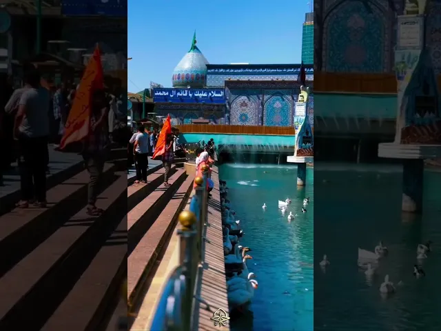 ⁣اللهُمَّ اكشِف هذِهِ الغُمَّةَ عَن هذِهِ الاُمَّةِ بِحُضُورِهِ وَعَجِّل لَنا ظُهُورَهُ...
