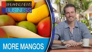 More Mangos For U S Consumers Yogome The Mexican Startup Of Education 