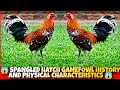 The Spangled hatch History and physical characteristics