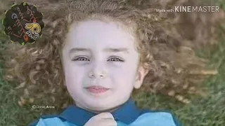 ربيع البركه نسر مكسور الجناحه 