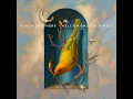 Cattle in the Cane - Punch Brothers
