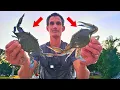 This Is How I Catch Big Chesapeake Bay Blue Crabs