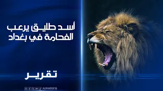   أسد هارب ينشر الرعب في شوارع الفحامة في بغداد دندنها