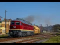 Download Lagu DB Cargo's neues Schmuckstück - 132 618 im frischen DR Lack auf Tour durchs Elstertal