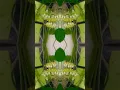 Download Lagu Floral photography | #munbevaa