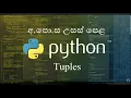 18 - Tuples